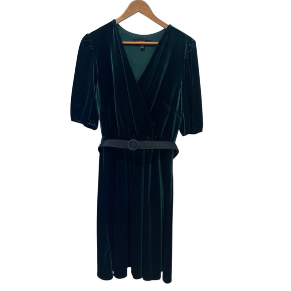 Lane Bryant | Velvet Dress - Picture 3 of 4